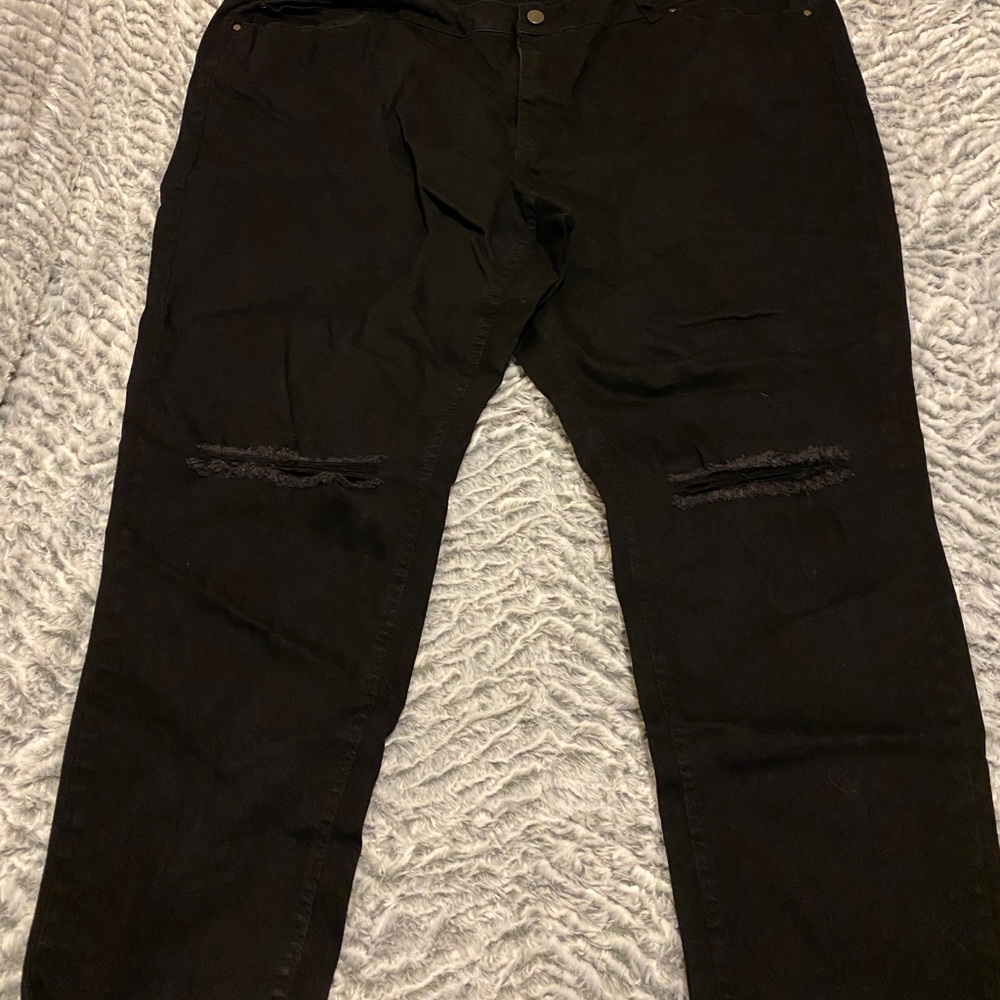 Lane Bryant never worn